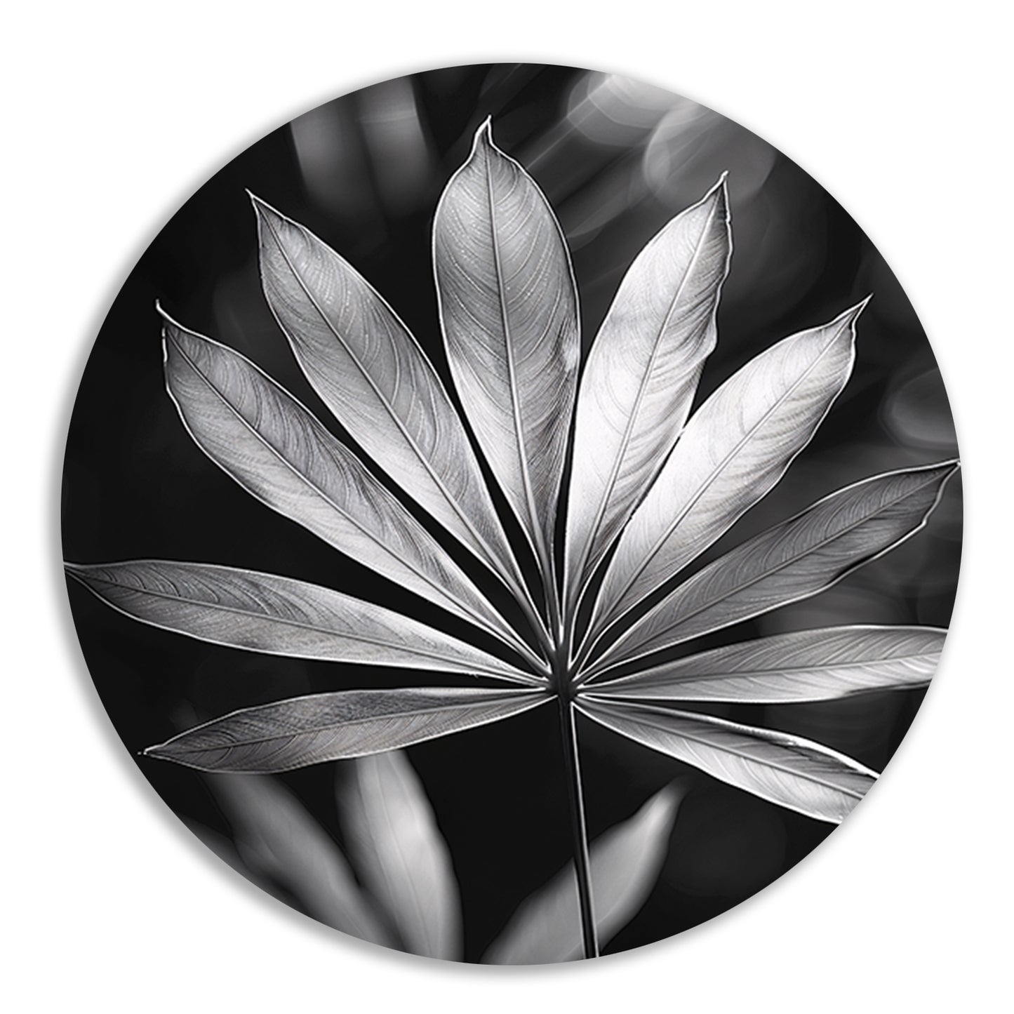 Zwart-Wit Minimalistisch Blad in Licht aluminium muurcirkel