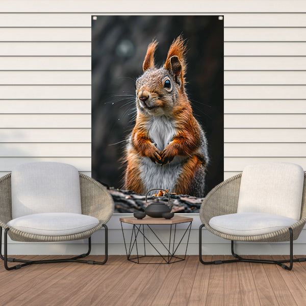 Close-up van Nieuwsgierige Eekhoorn in Bos tuinposter