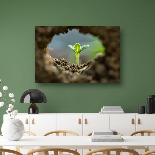 Jonge plant ontspringt uit aarde acrylglas
