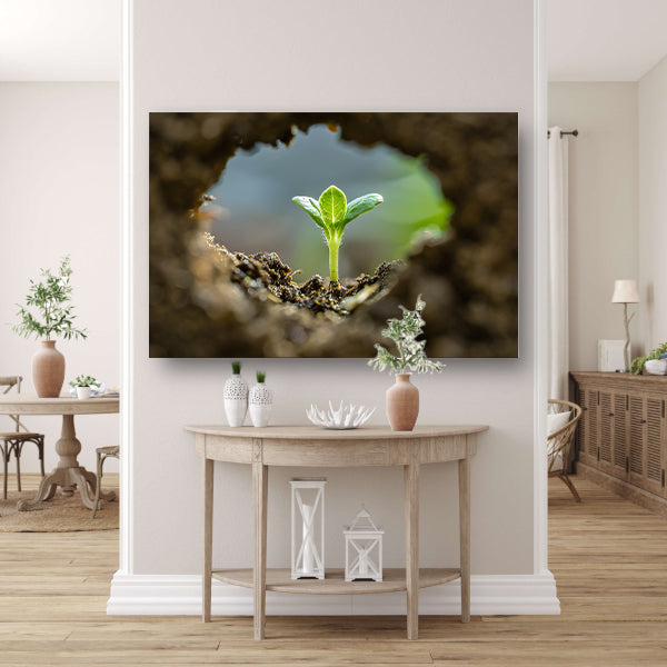 Jonge plant ontspringt uit aarde acrylglas