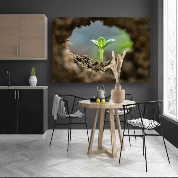 Jonge plant ontspringt uit aarde acrylglas