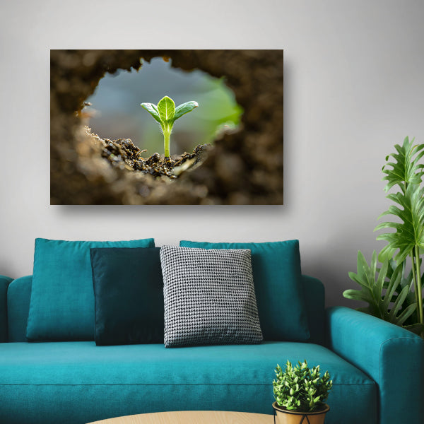 Jonge plant ontspringt uit aarde acrylglas