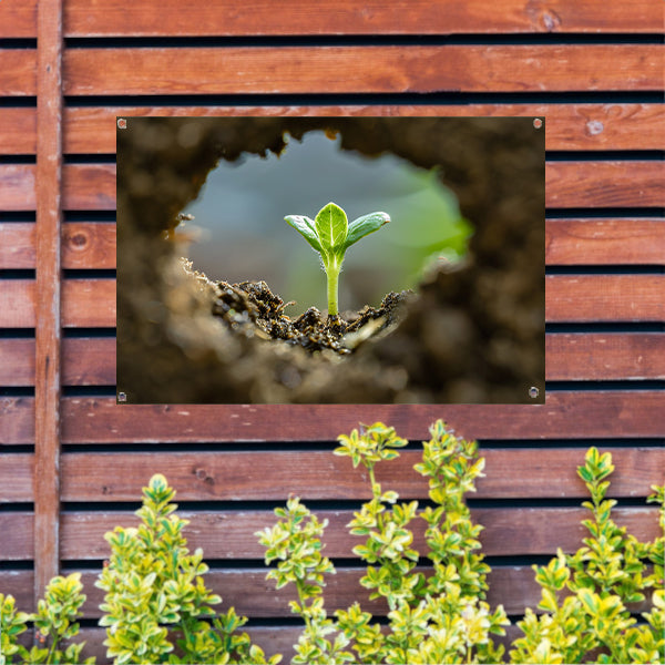 Jonge plant ontspringt uit aarde tuinposter