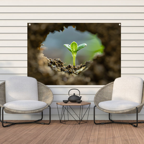 Jonge plant ontspringt uit aarde tuinposter