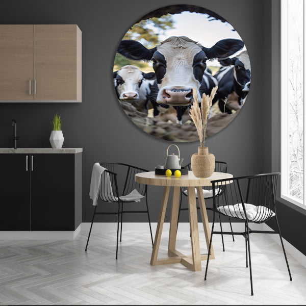 Nieuwsgierige koeien in de aarde aluminium muurcirkel