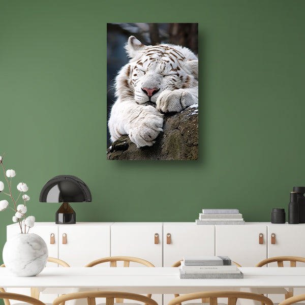 Slapende Witte Tijger op Steen canvas