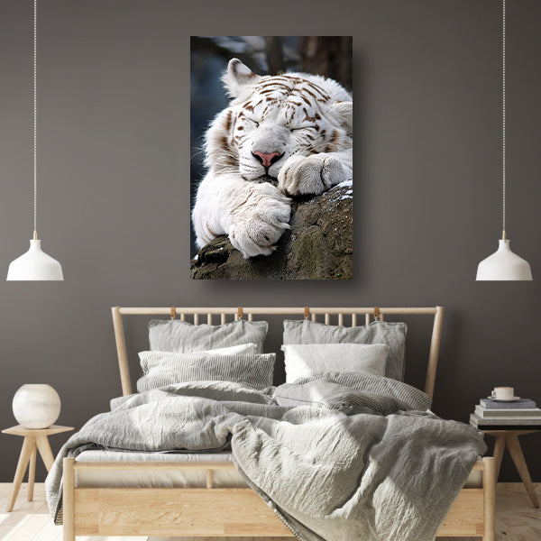 Slapende Witte Tijger op Steen canvas