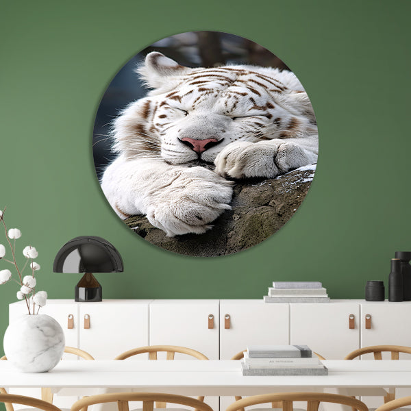 Slapende Witte Tijger op Steen aluminium muurcirkel