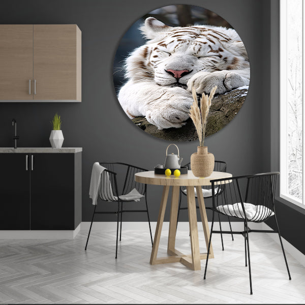Slapende Witte Tijger op Steen aluminium muurcirkel