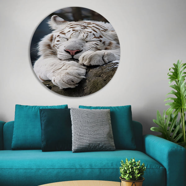 Slapende Witte Tijger op Steen aluminium muurcirkel