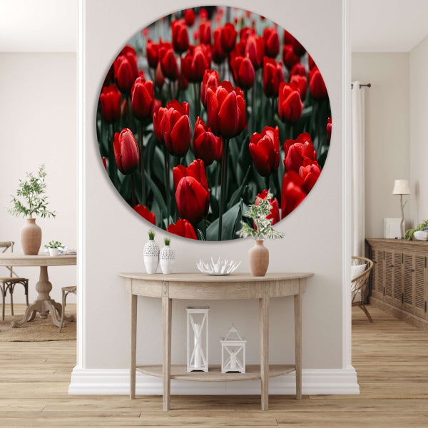 Heldere rode tulpen met groene bladeren forex muurcirkel