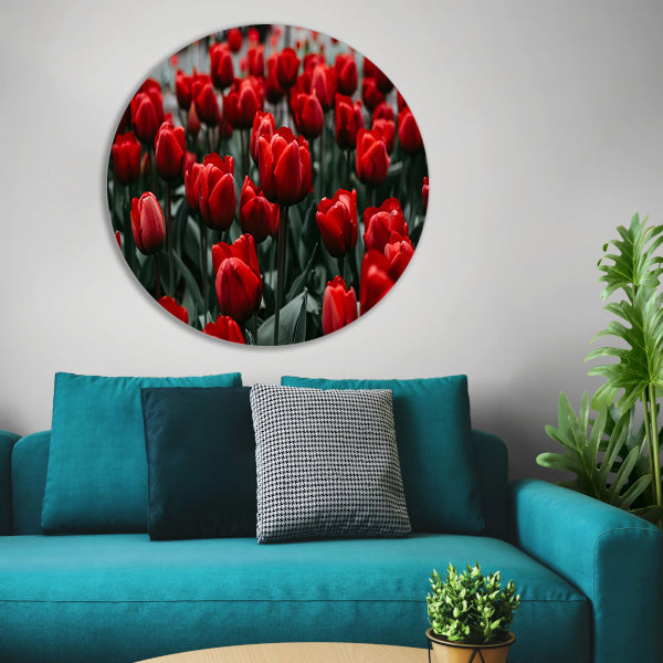 Heldere rode tulpen met groene bladeren forex muurcirkel