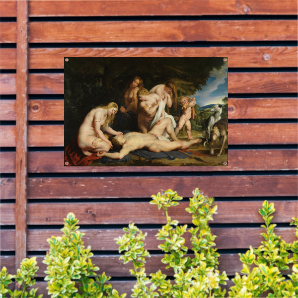De dood van Adonis - Peter Paul Rubens tuinposter