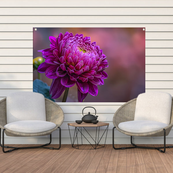 Paarse bloem close-up met zachte achtergrond tuinposter