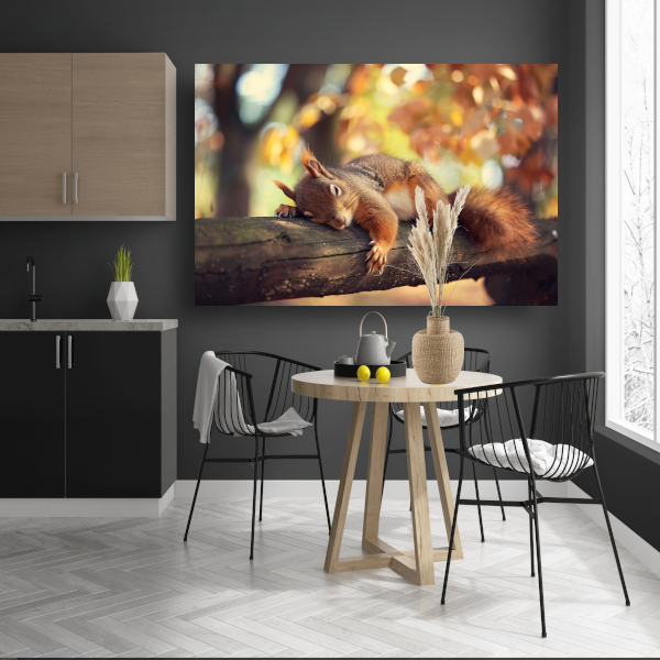 Eekhoorn geniet van herfstige rust canvas