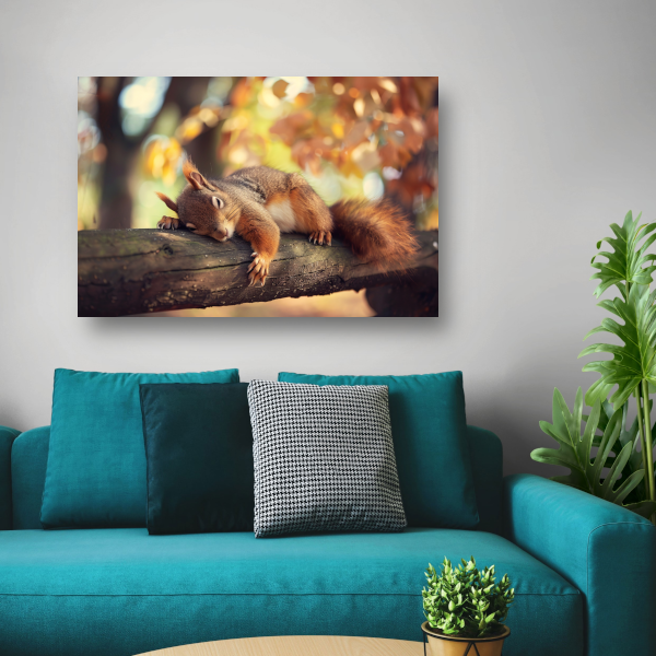 Eekhoorn geniet van herfstige rust canvas