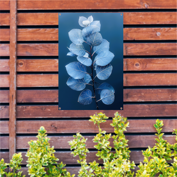 Blauwe eucalyptusbladeren tegen een zwarte achtergrond tuinposter