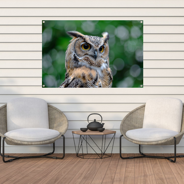 De Majestueuze Blik van een Uil tuinposter