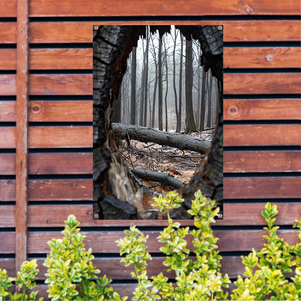 Bos na de regen door omgevallen boom tuinposter
