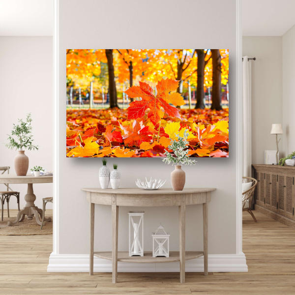 Herfstbladeren in zonovergoten park canvas