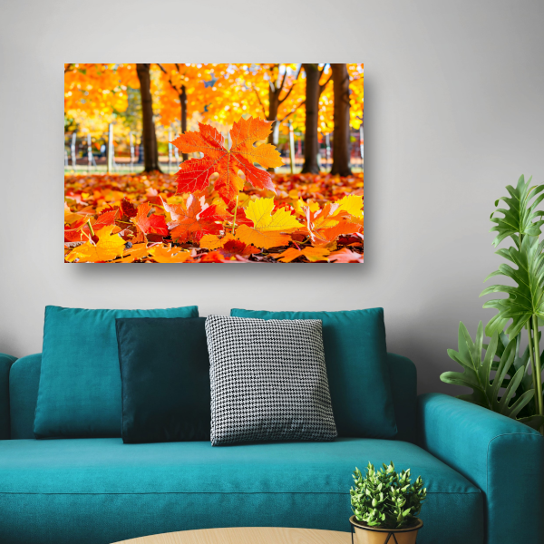 Herfstbladeren in zonovergoten park canvas