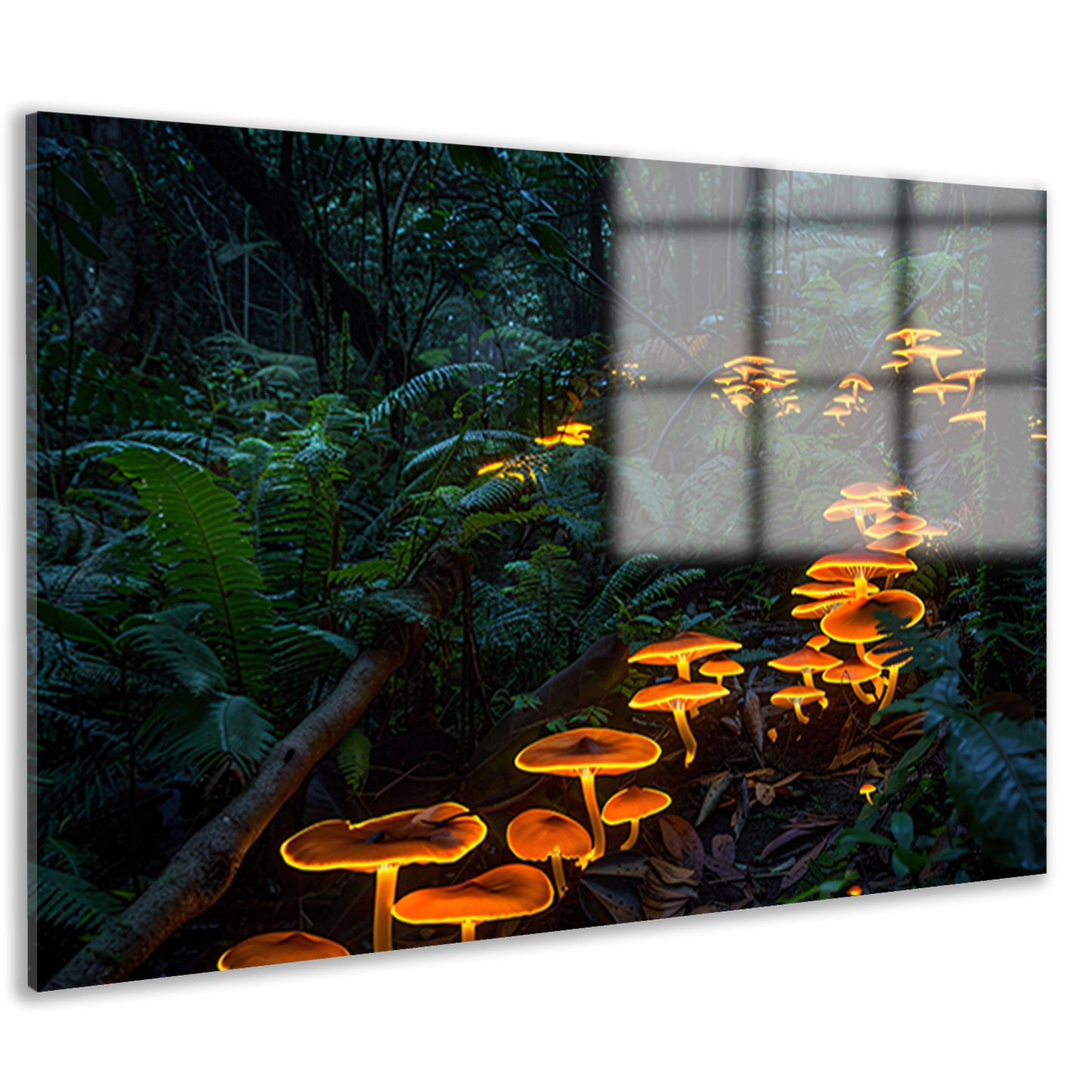 Glowing paddenstoelen in mystiek boslandschap acrylglas