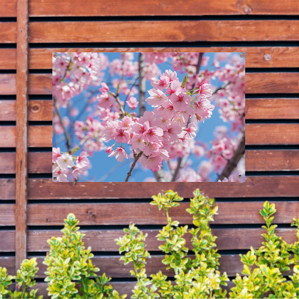 Roze bloesem op een zonnige dag tuinposter
