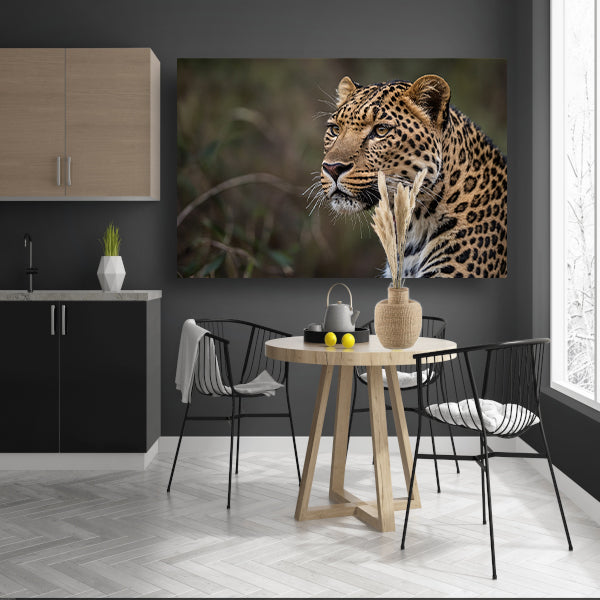 Prachtige close-up van een wilde luipaard poster
