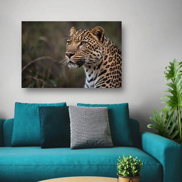 Prachtige close-up van een wilde luipaard poster