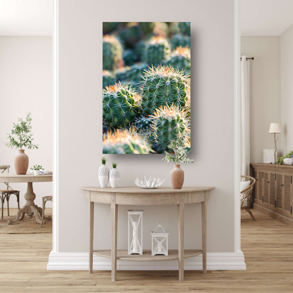 Zwart-wit foto van cactussen in de zon acrylglas