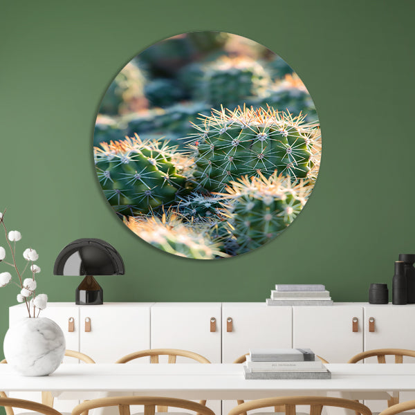 Zwart-wit foto van cactussen in de zon aluminium muurcirkel