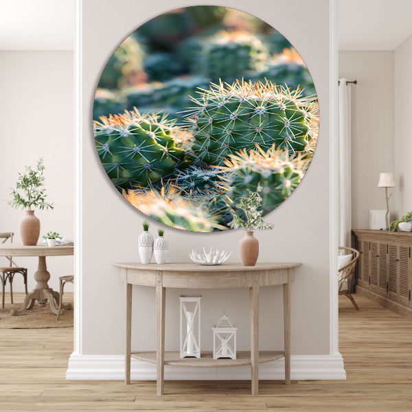 Zwart-wit foto van cactussen in de zon aluminium muurcirkel