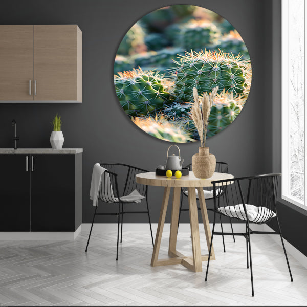 Zwart-wit foto van cactussen in de zon aluminium muurcirkel