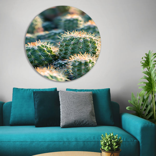 Zwart-wit foto van cactussen in de zon aluminium muurcirkel