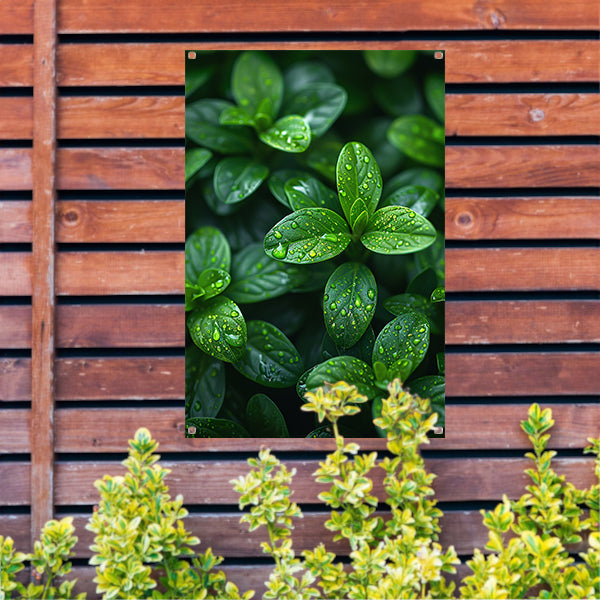 Close-up van groene bladeren met dauwdruppels tuinposter