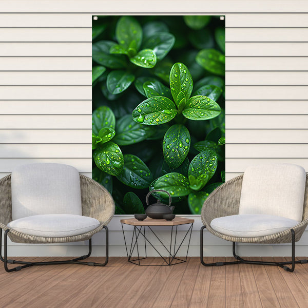 Close-up van groene bladeren met dauwdruppels tuinposter