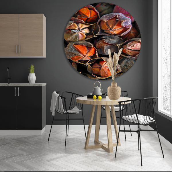 Close-up van zaaddozen met levendige kleuren aluminium muurcirkel