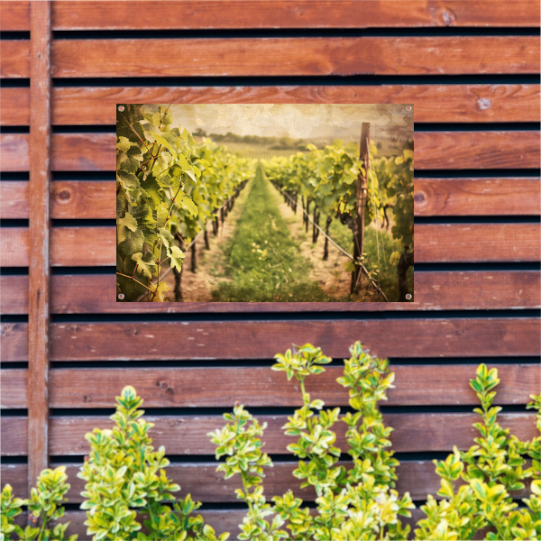 Wijngaard in sepia - Stille getuige van tijd tuinposter