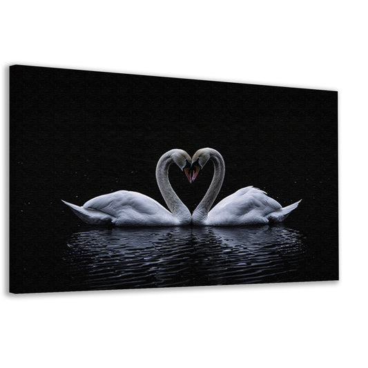 Twee zwanen die hart vormen op water canvas