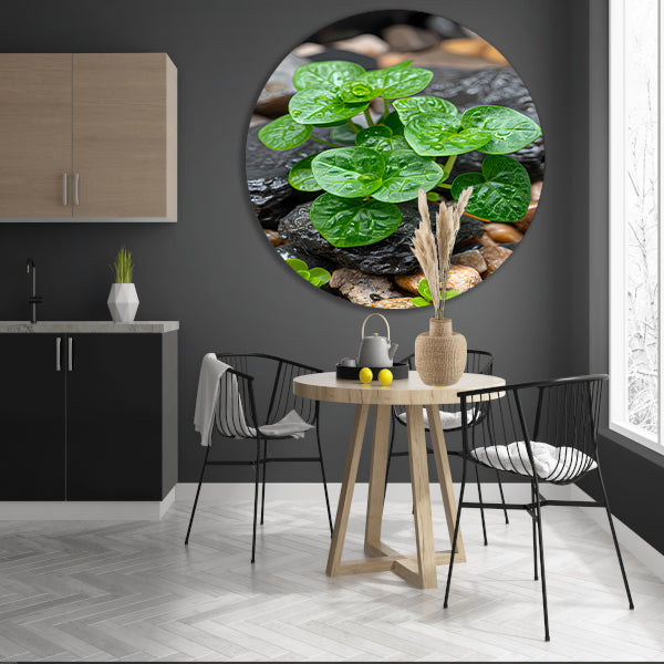 Jonge groene plant tussen stenen aluminium muurcirkel