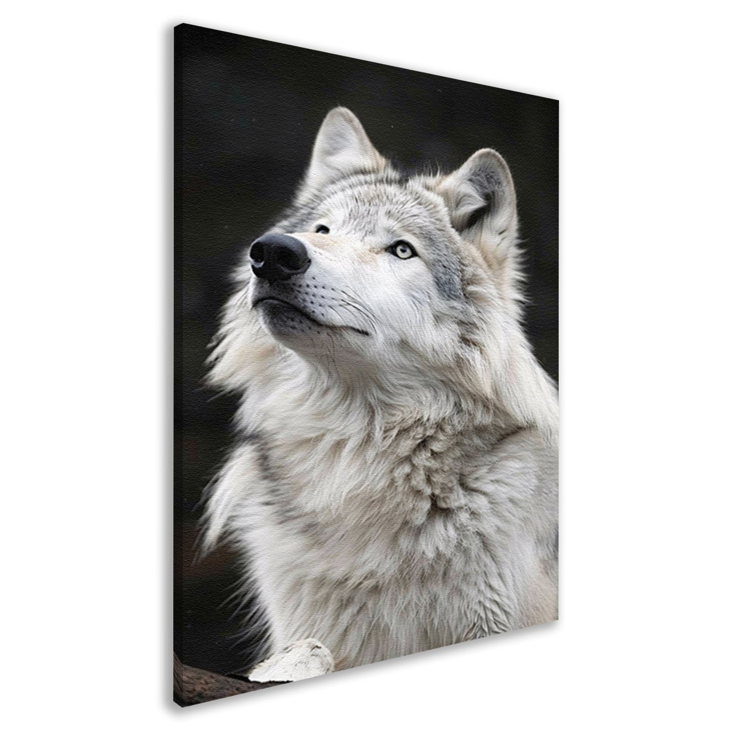 Portret van een Witte Wolf in Zwart-Wit canvas