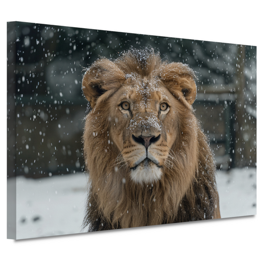 Majestueuze Leeuw in Sneeuwbedekte Wildernis canvas
