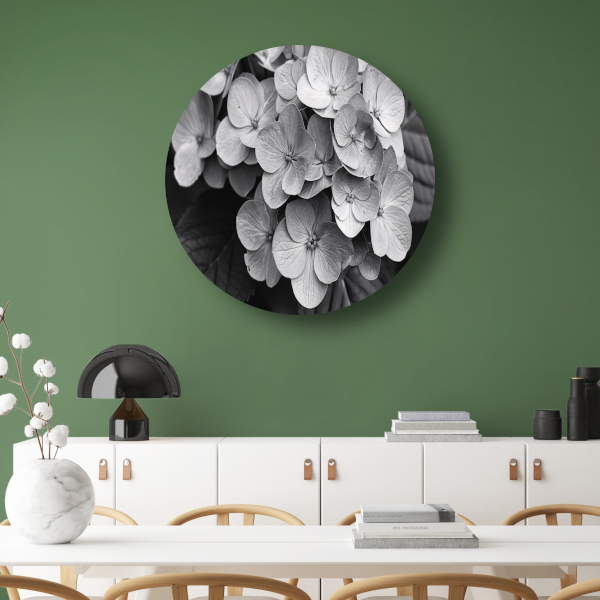 Hydrangea in Zwart-Wit forex muurcirkel
