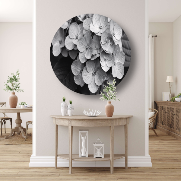 Hydrangea in Zwart-Wit forex muurcirkel