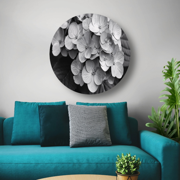 Hydrangea in Zwart-Wit forex muurcirkel