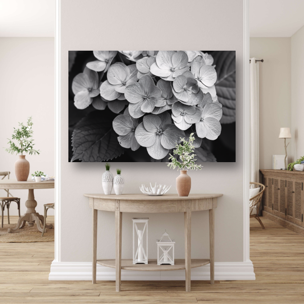 Hydrangea in Zwart-Wit canvas