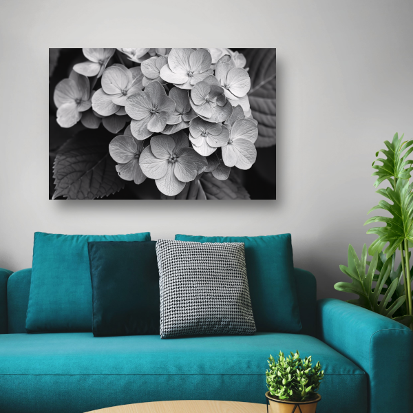 Hydrangea in Zwart-Wit canvas