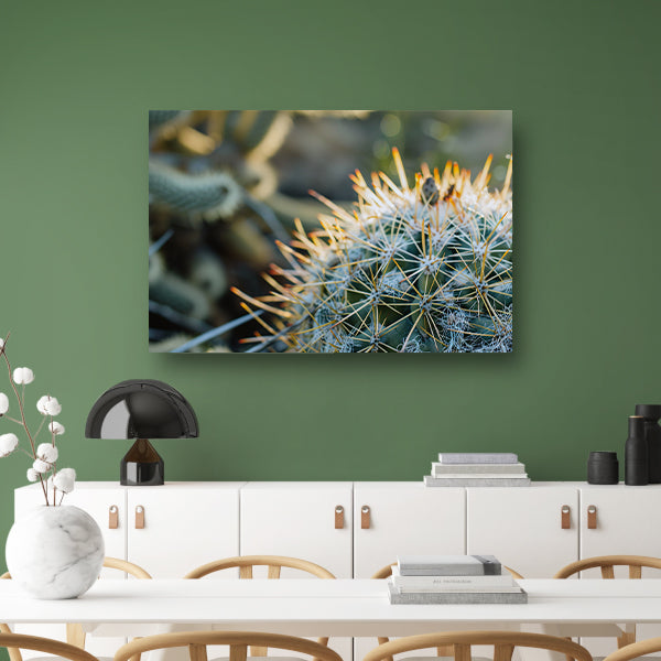 Close-up van een cactus met stekels acrylglas