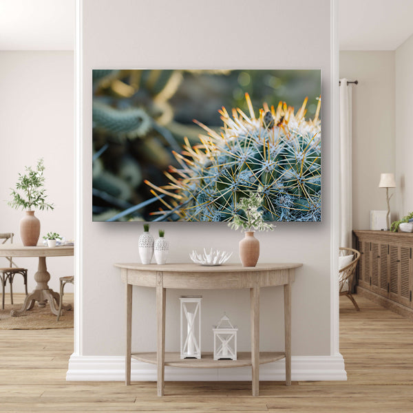 Close-up van een cactus met stekels acrylglas