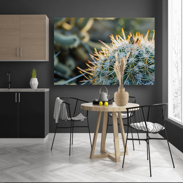 Close-up van een cactus met stekels acrylglas